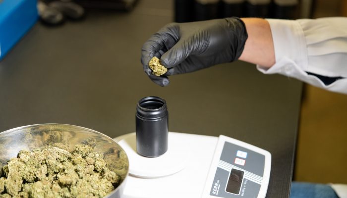 Legislature's executive board poured cool water on constituents' hopes that medical marijuana will available next month.
