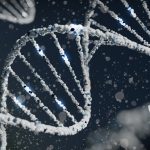Persistence of Touch DNA Evidence for Analysis
