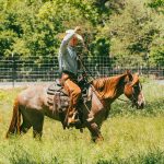 Fate of public land dispute remains unclear as politicians cheer dismissal of ranchers’ charges