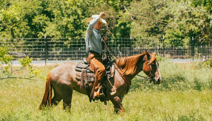 Fate of public land dispute remains unclear as politicians cheer dismissal of ranchers’ charges