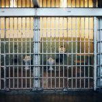 Advocates say Minnesota is moving too slow on early release prison program