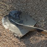 Walz breaks ground on new $67 million regional BCA headquarters and crime lab in Mankato