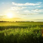 The 2026 legislative session is over. Here’s what passed, failed, and what is already Iowa law