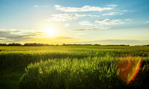The 2026 legislative session is over. Here’s what passed, failed, and what is already Iowa law